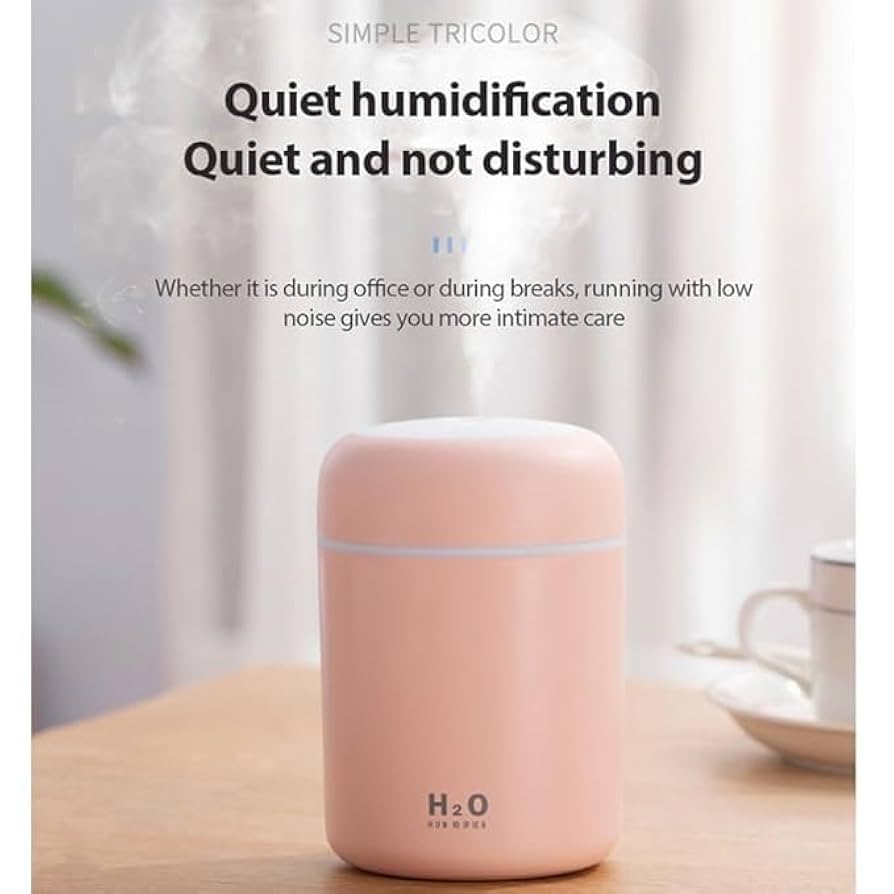 Portable H2O Humidifier
